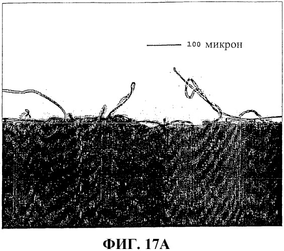 Застежки на основе пеноматериала (патент 2376915)