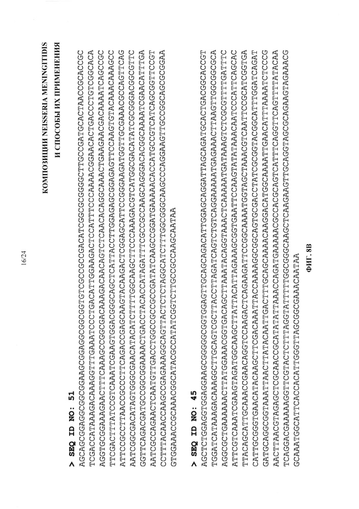 Композиции neisseria meningitidis и способы их применения (патент 2665841)