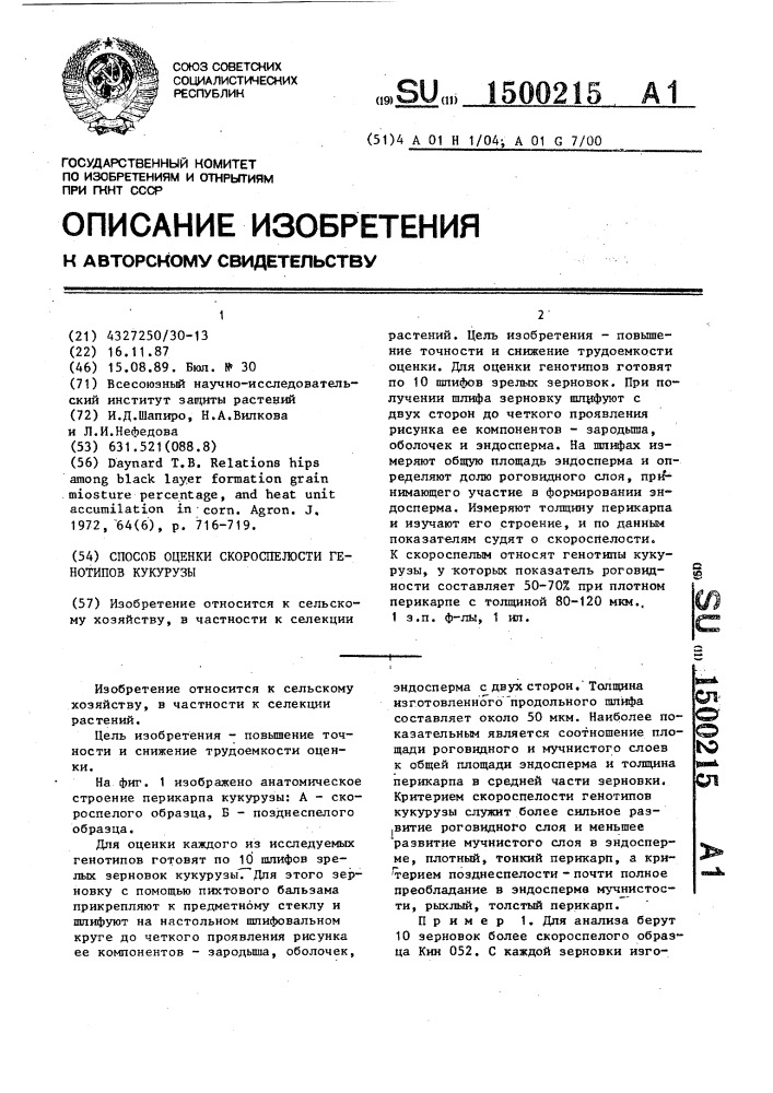 Способ оценки скороспелости генотипов кукурузы (патент 1500215)