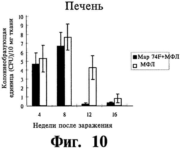 Фармацевтическая композиция и способ стимулирования иммунного ответа к мусоbacterium avium подвида paratuberculosis (патент 2489165)