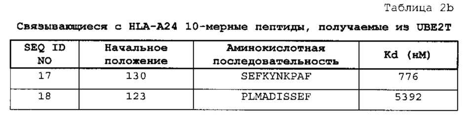 Пептиды ube2t и содержащие их вакцины (патент 2663350)