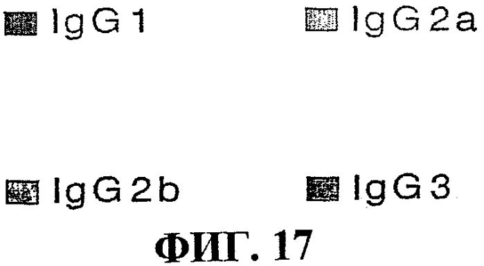 Способ очистки бактериального капсулярного полисахарида neisseria meningitidis или haemophilus influenzae и способ получения вакцины (патент 2381814)