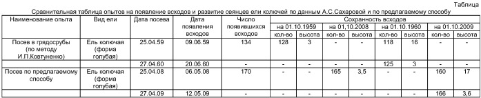 Способ эффективного выращивания ели колючей (picea pungens engelm) (патент 2423819)