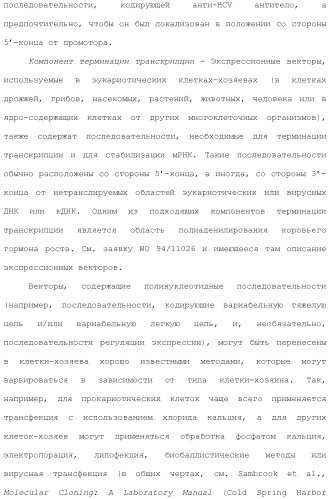 Антитела против вируса гепатита с (патент 2462475)