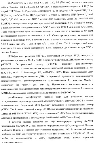 Днк, кодирующая модифицированное антитело или соединение с активностью агониста тро, способ их получения и животная клетка или микроорганизм, их продуцирующие (патент 2422528)