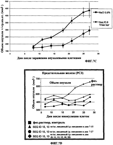 Олигомерное соединение, понижающее экспрессию человеческого гена bcl-2, конъюгат, фармацевтическая композиция и применение олигомерного соединения для лечения рака (патент 2377301)
