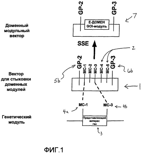 Векторные плазмиды для клонирования модулей днк и способы их применения (патент 2497949)