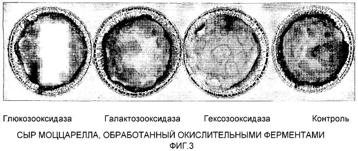 Способ предотвращения или уменьшения реакции майяра в пищевом продукте, применение фермента для этого и пищевой продукт, полученный этим способом (патент 2312569)