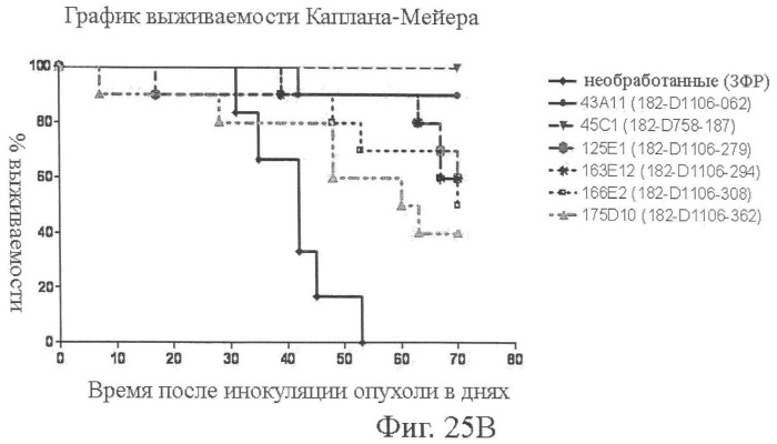 Моноклональные антитела к клаудину-18 для лечения рака (патент 2445319)
