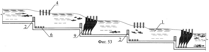 Рыбоход (варианты) (патент 2249653)