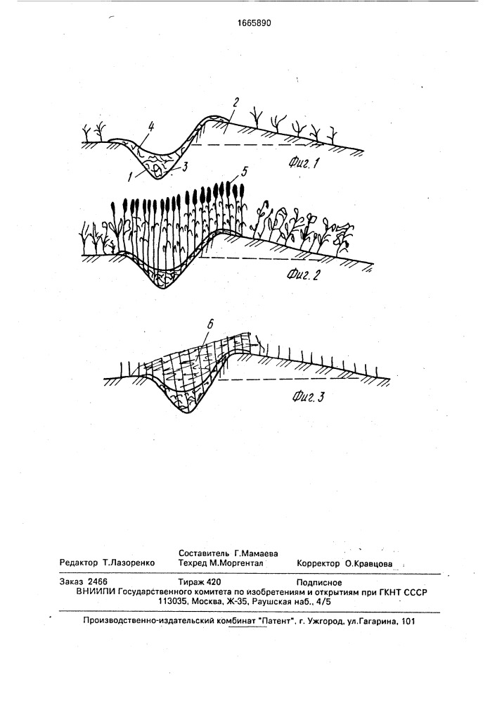 Способ борьбы с эрозией почв на склонах (патент 1665890)