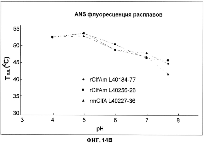 Стабильные иммуногенные композиции антигенов staphylococcus aureus (патент 2570730)