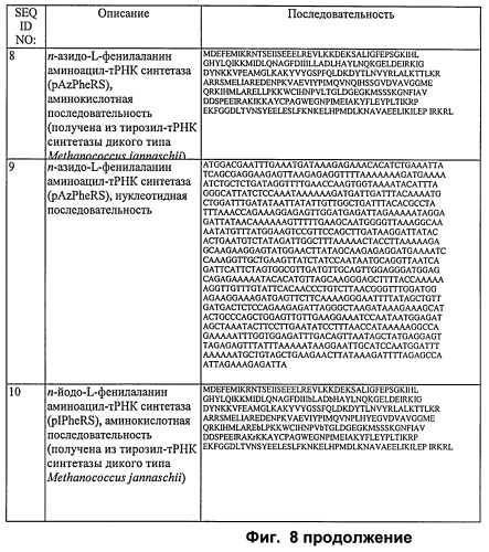 Система экспрессии компонентов ортогональной трансляции в эубактериальной клетке-хозяине (патент 2467069)