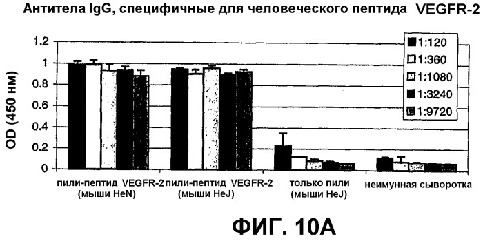 Композиция и способ для иммунизации, способ продуцирования неприродного, упорядоченного и повторяющегося массива антигенов и оболочечный белок (патент 2295973)