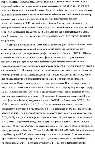 Антигенсвязывающие молекулы, которые связывают рецептор эпидермального фактора роста (egfr), кодирующие их векторы и их применение (патент 2457219)