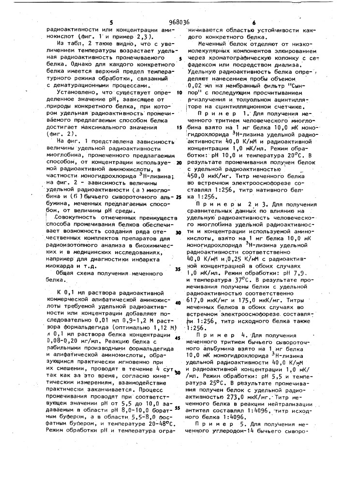 Способ получения меченого белка (патент 968036)