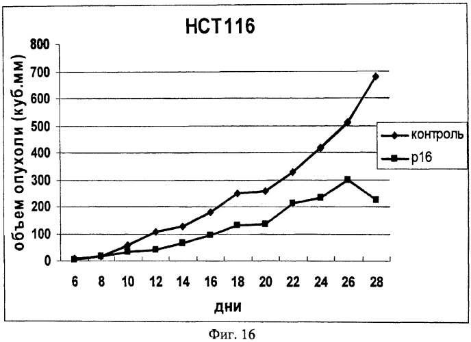 Химерный пептид и фармацевтическая композиция для лечения онкологических заболеваний (патент 2435783)