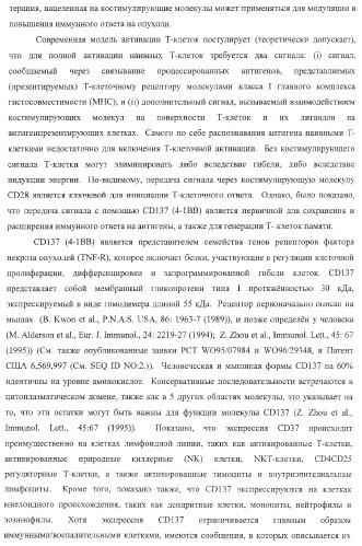 Человеческие антитела против человеческого 4-1вв (cd137) (патент 2376316)