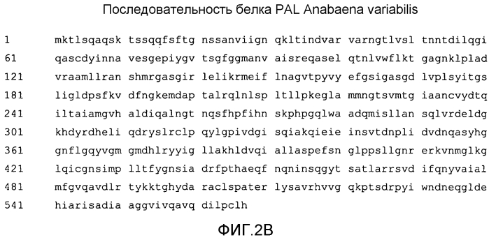Композиции прокариотической фенилаланин-аммиак-лиазы и способы лечения рака с использованием таких композиций (патент 2553343)