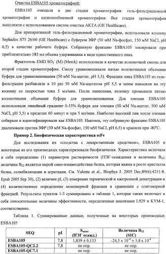 Scfv-антитела, которые проходят через эпителиальный и/или эндотелиальный слои (патент 2438708)