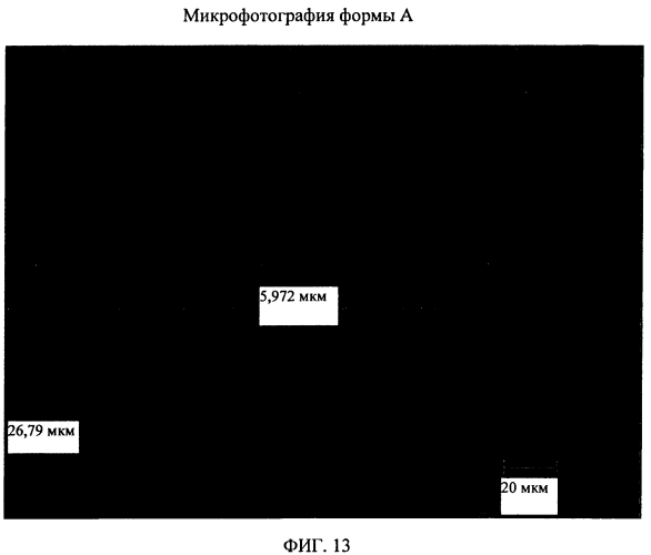 Твердые пероральные составы и кристаллические формы ингибитора белка апоптоза (патент 2574405)