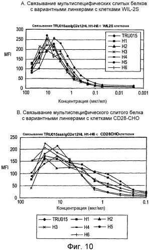 Одноцепочечные мультивалентные связывающие белки с эффекторной функцией (патент 2487888)