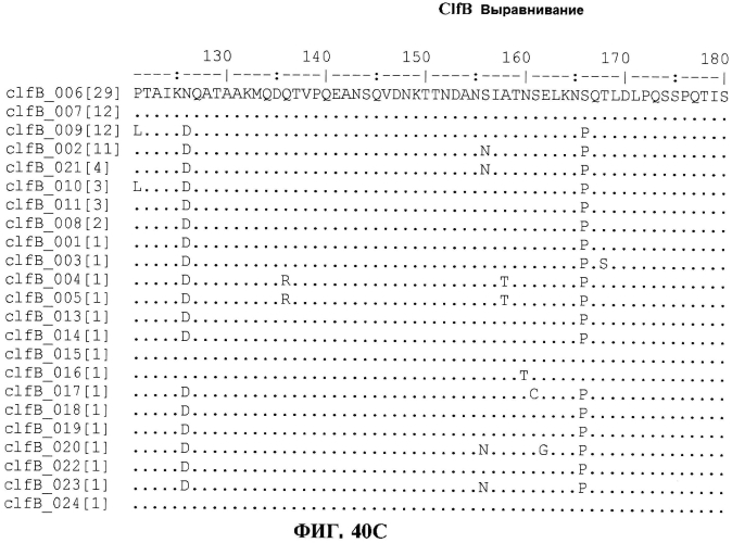 Стабильные иммуногенные композиции антигенов staphylococcus aureus (патент 2570730)