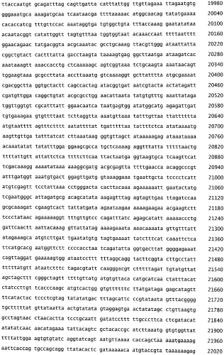 Бактериофаг, обладающий активностью против pseudomonas aeruginosa, белки бактериофага и способы их применения (патент 2580248)