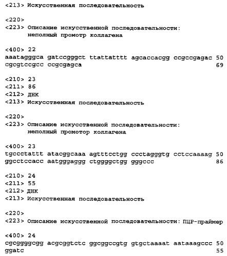 Лечение -галактозидазной а недостаточности (патент 2248213)