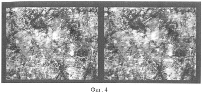 Способ выявления способности восприятия глубины и объема плоскостного изображения (патент 2489961)