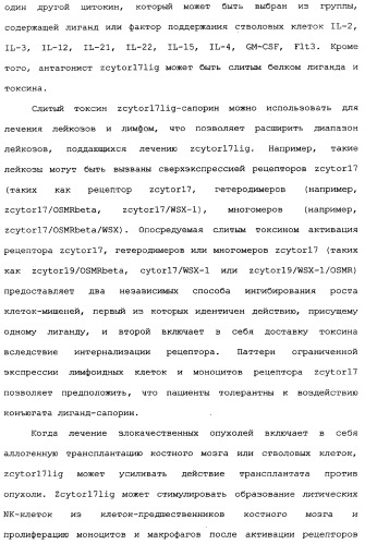 Новый лиганд рецептора цитокина zcytor17 (патент 2360923)