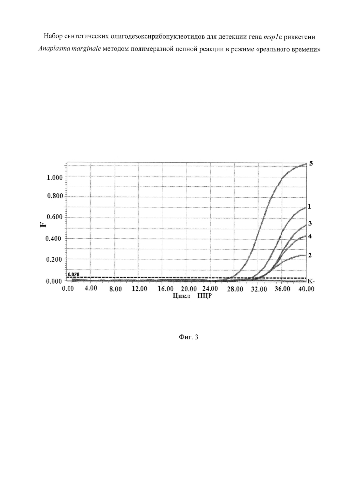 Набор синтетических олигодезоксирибонуклеотидов для детекции гена msp1α риккетсии anaplasma marginale методом полимеразной цепной реакции в режиме "реального времени" (патент 2603254)