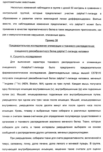 Выделенный полипептид, связывающий рецептор zalpha11-лиганда (варианты), кодирующий его полинуклеотид (варианты), вектор экспрессии (варианты) и клетка-хозяин (варианты) (патент 2346951)