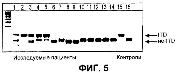 Твердые солевые формы замещенного пирролом 2-индолинона (патент 2399619)