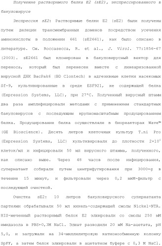 Антитела против вируса гепатита с (патент 2462475)
