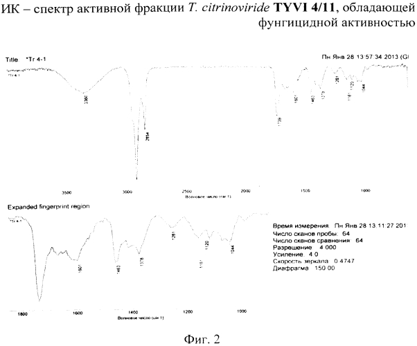 Штамм trichoderma citrinoviride bissett - продуцент антибиотиков-пептаиболов с антигрибной и антибактериальной активностью (патент 2564577)