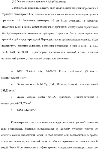 Растения с повышенной урожайностью и способ их получения (патент 2377306)