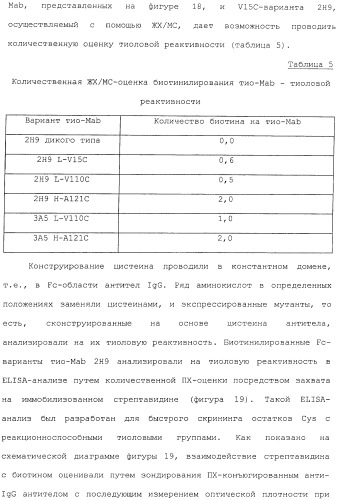 Антитела, сконструированные на основе цистеинов, и их конъюгаты (патент 2412947)