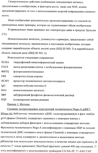 Nogo-a-связывающие молекулы и их фармацевтическое применение (патент 2380377)