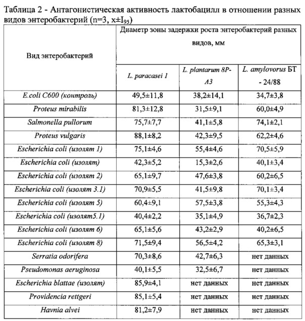 Штамм бактерий lactobacillus paracasei 1, используемый для приготовления пробиотического препарата (патент 2608871)