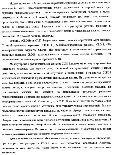 Моноклональные антитела к клаудину-18 для лечения рака (патент 2445319)