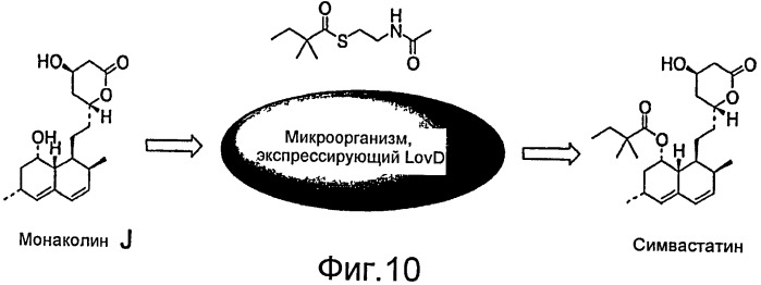 Способы получения симвастатина (патент 2447152)