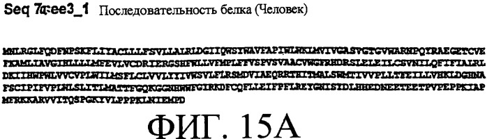Ее3-семейство белков и соответствующие днк-последовательности (патент 2333918)