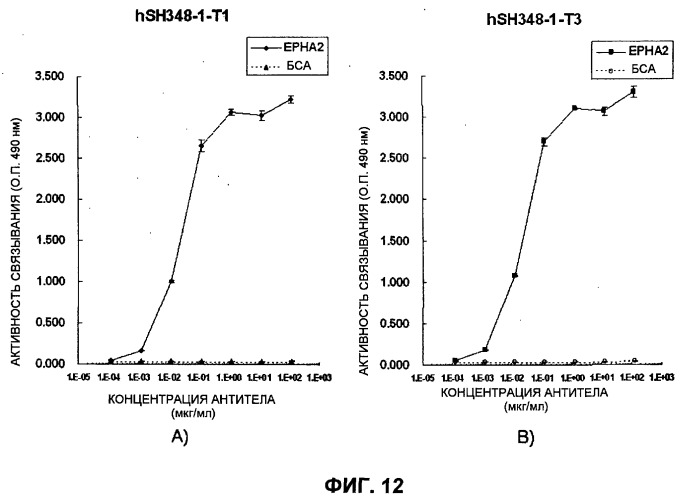 Антитело к epha2 (патент 2525133)