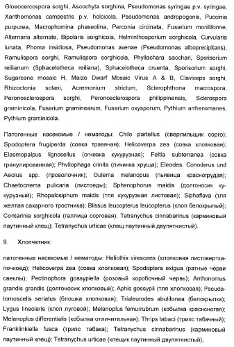 Способ повышения стойкости к стрессовым факторам в растениях (патент 2375452)