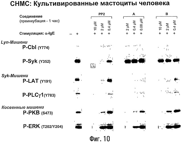 Способы лечения или профилактики аутоиммунных заболеваний с помощью соединений 2,4-пиримидиндиамина (патент 2491071)