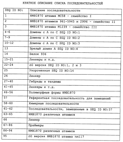 Химерные, гибридные и тандемные полипептиды менингококкового белка nmb1870 (патент 2431671)