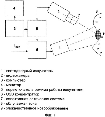 Устройство для флуоресцентной диагностики злокачественных новообразований (патент 2539902)