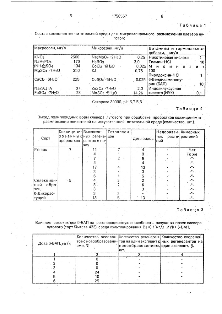 Способ получения полиплоидных форм клевера лугового (патент 1750557)