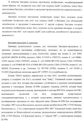 Способ получения l-треонина или l-аргинина с использованием бактерии, принадлежащей к роду escherichia, в которой инактивирован ген chac или оперон chabc (патент 2392327)